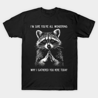 Funny Meme Raccoon Gift Men Women Funny Raccoon T-Shirt